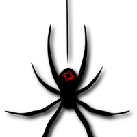 MaddSpider Thumbnail